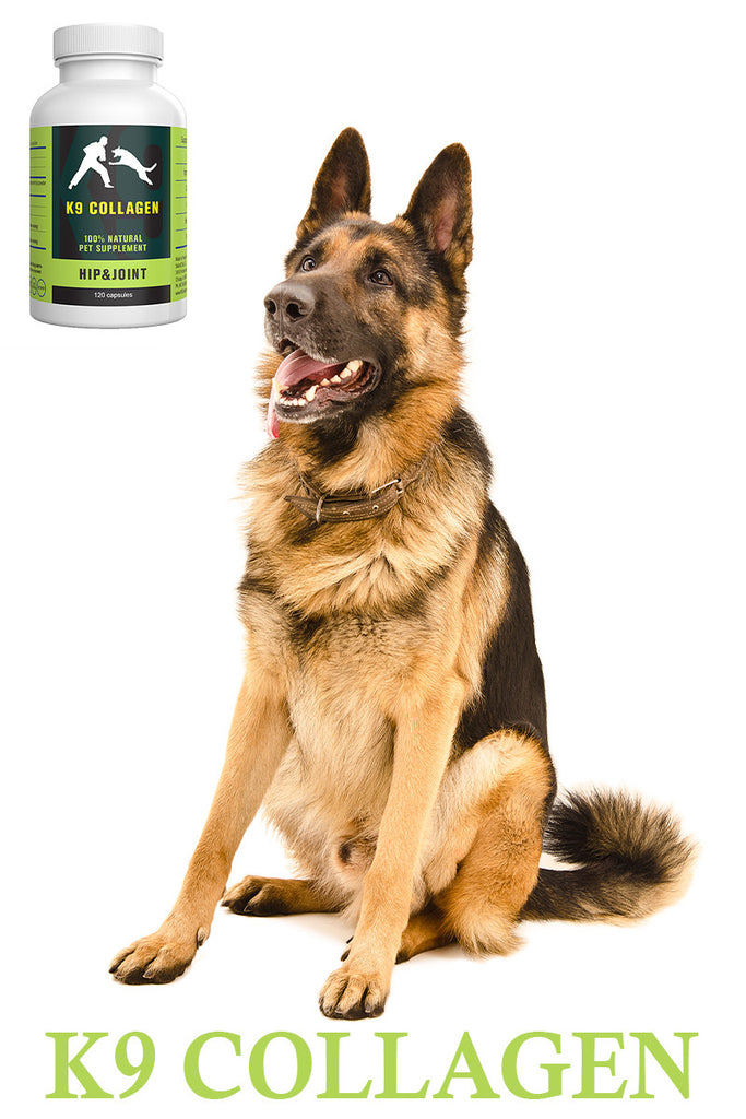 K9 Collagen Hip and Joint Supplement: The Best Joint Complete For Dogs